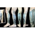 Tracy's Blue Heron Coverup_1