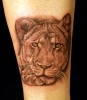 old tattoos_Lion